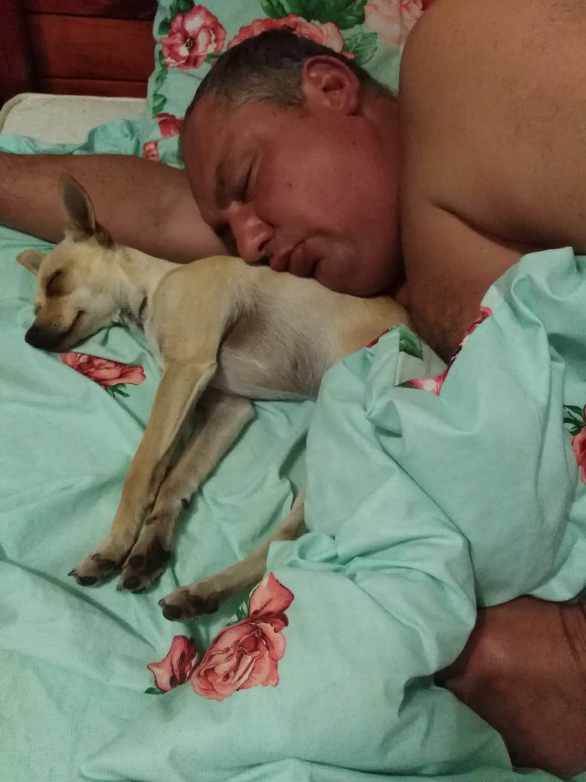 Додаткове фото 22